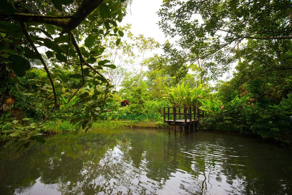 Blue River Resort & Hot Springs Либерия Экстерьер фото
