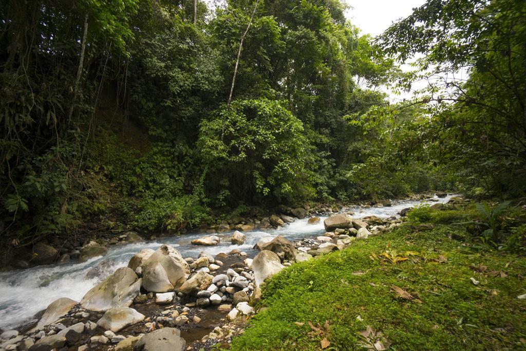 Blue River Resort & Hot Springs Либерия Экстерьер фото